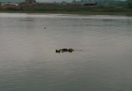 Thi thể người đ&agrave;n &ocirc;ng xấu số (Ảnh người d&acirc;n cung cấp)