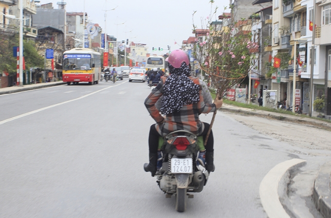 Những c&agrave;nh đ&agrave;o sớm đ&atilde; được mang về nh&agrave;.