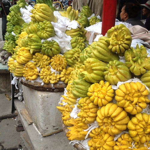 Phật thủ thi nhau xuống phố đ&oacute;n Tết.