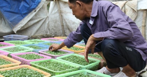 Những “ngọn đèn” trước gió không bao giờ tắt ở xóm chạy thận