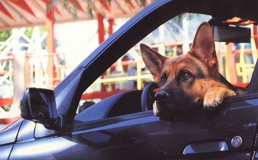 Những bộ phim khiến thế hệ 8x,9x “mất ăn mất ngủ” một thời (P.1)