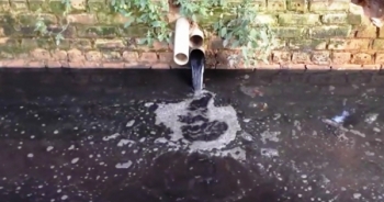 Hà Nam: 2.000 hộ dân sống chung với phân lợn như sống với lũ