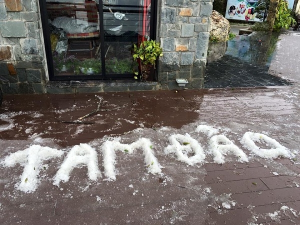 Khu thắng cảnh Tam Đảo ch&igrave;m trong tuyết trắng.