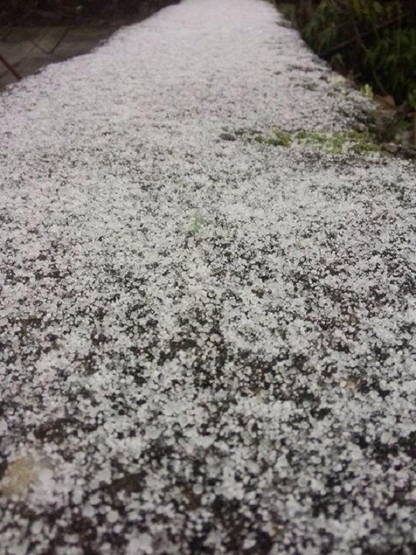 Tuyết phủ trắng mặt đường.