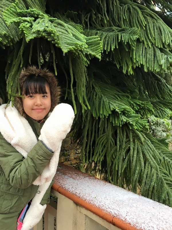 Tam Đảo, Vĩnh Ph&uacute;c cũng đ&atilde; xuất hiện băng tuyết