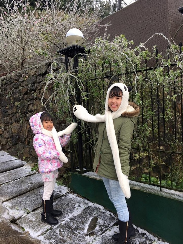 Tam Đảo, Vĩnh Ph&uacute;c cũng đ&atilde; xuất hiện băng tuyết