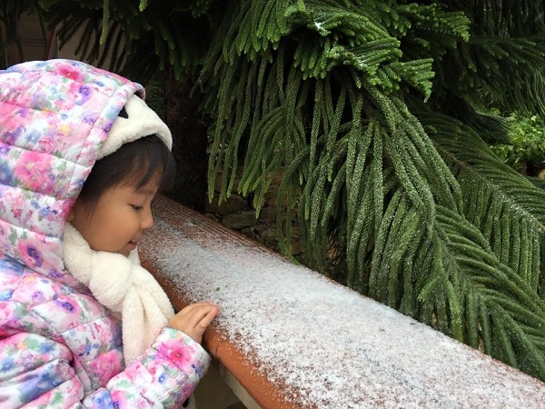 Tam Đảo, Vĩnh Ph&uacute;c cũng đ&atilde; xuất hiện băng tuyết