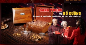 Đông Trùng Hạ Thảo, món quà tết đầy ý nghĩa