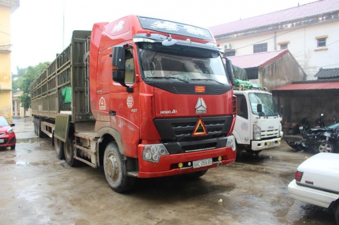 &Ocirc; t&ocirc; đầu k&eacute;o vận chuyển ph&aacute;o lậu bị lực lượng chức năng bắt giữ.