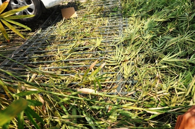 TP HCM: Nữ t&agrave;i xế h&uacute;c đổ r&agrave;o th&eacute;p, đ&egrave; cụ &ocirc;ng chạy xe &ocirc;m