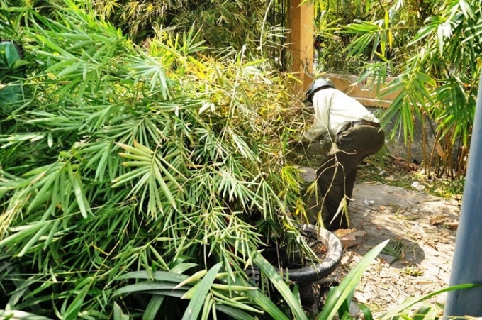 TP HCM: Nữ t&agrave;i xế h&uacute;c đổ r&agrave;o th&eacute;p, đ&egrave; cụ &ocirc;ng chạy xe &ocirc;m