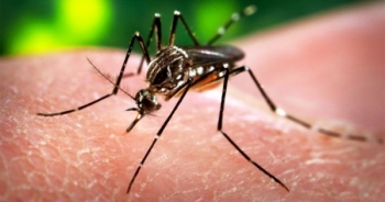 "Bóng ma" Zika trên toàn thế giới