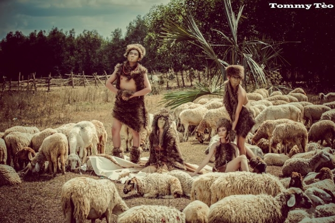 &ldquo;Lạc&rdquo; giữa miền thảo nguy&ecirc;n du mục T&acirc;y Tạng