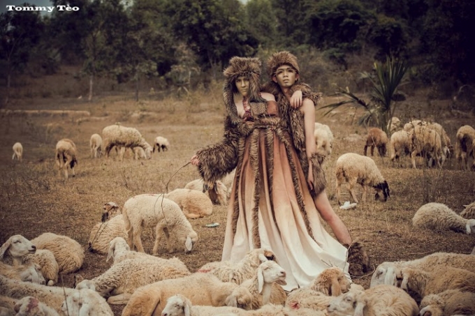 &ldquo;Lạc&rdquo; giữa miền thảo nguy&ecirc;n du mục T&acirc;y Tạng