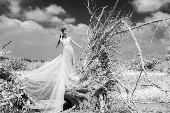 Đ&acirc;y l&agrave; bộ ảnh được thực hiện bởi nhiếp ảnh Đặng Thanh T&ugrave;ng, một giảng vi&ecirc;n Đại học tại TP HCM, c&oacute; niềm đam m&ecirc; với bộ m&ocirc;n nghệ thuật n&agrave;y.