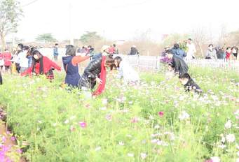 H&agrave; Nội buổi trưa trời nắng đẹp, th&iacute;ch hợp cho c&aacute;c bạn trẻ ưa chụp ảnh (ảnh internet).