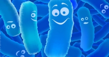 Thu hồi thuốc men vi sinh sống Biolac vì không đạt tiêu chuẩn