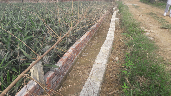 B&agrave; S&acirc;m cho rằng, sau khi g&otilde; cửa cầu cứu về việc bị lấn chiếm, Gi&aacute;m đốc X&iacute; nghiệp lại bao che để c&aacute;c hộ d&acirc;n x&acirc;y th&ecirc;m h&agrave;ng gạch thứ hai ph&iacute;a trong.