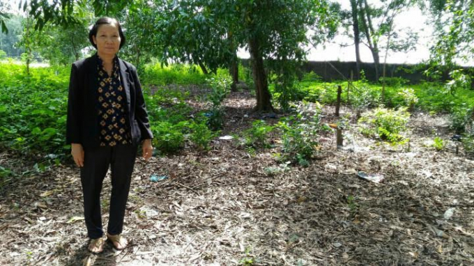 B&agrave; Hằng đứng tr&ecirc;n mảnh đất bị &ocirc;ng Hợp chiếm.