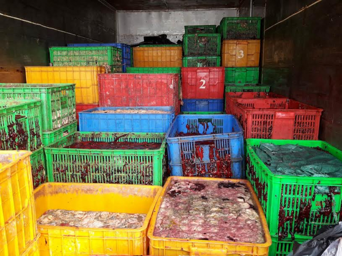 Xe chở nội tạng thối.