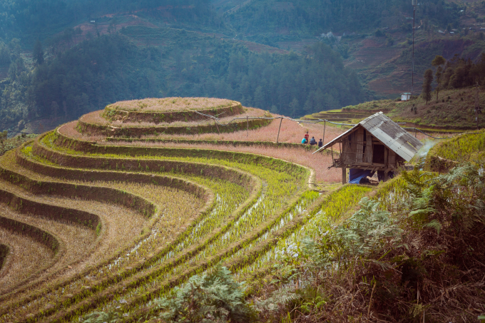 Những đứa trẻ v&ugrave;ng cao M&ugrave; Căng Chải