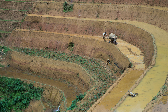Những đứa trẻ v&ugrave;ng cao M&ugrave; Căng Chải