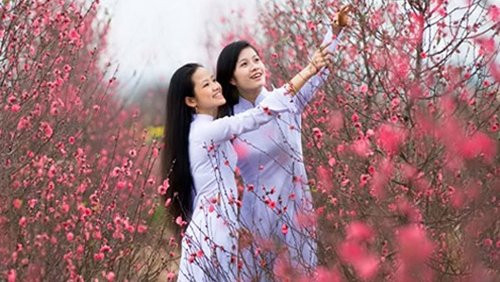 Tết Nguy&ecirc;n Đ&aacute;n năm nay, nhiệt độ miền Bắc sẽ ấm hơn trung b&igrave;nh nhiều năm.