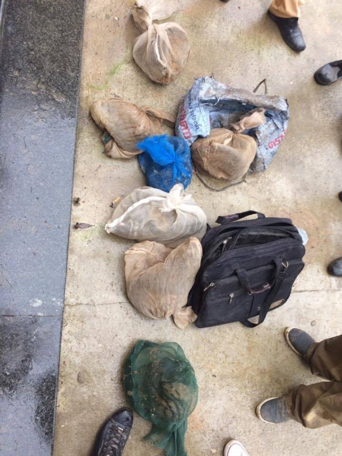 S&ocirc;́ C&acirc;̀y Hương quý hi&ecirc;́m bị bắt giữ.