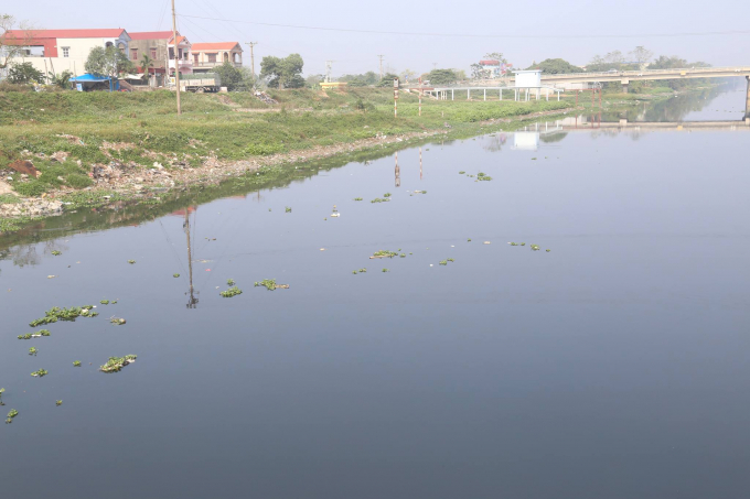 D&ugrave; nước s&ocirc;ng Nhuệ bị &ocirc; nhiễm nhưng vẫn phải sử dụng để gieo trồng kịp thời vụ.