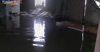 TP HCM: Người trồng mai điêu đứng vì bị ngập úng