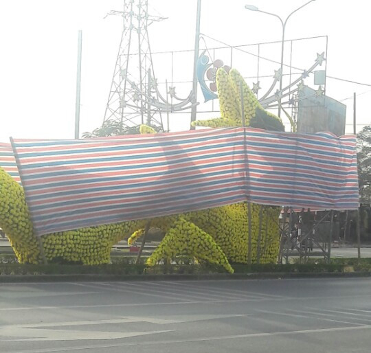 Từ khoảng 15h chiều nay, đầu rồng đ&atilde; được qu&acirc;y k&iacute;n.