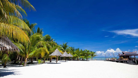 Du lịch Malaysia ng&agrave;y c&agrave;ng được du kh&aacute;ch tr&ecirc;n khắp thế giới y&ecirc;u th&iacute;ch, trong đ&oacute; c&oacute; cả Việt Nam. Đến  Malaysia bạn c&oacute; thể gh&eacute; thăm c&aacute;c bang Johor, Penang, Langkawi, Perak... Mỗi bang c&oacute; đặc trưng v&agrave; m&ocirc; h&igrave;nh giải tr&iacute; ri&ecirc;ng . Ảnh:&nbsp;Choice.