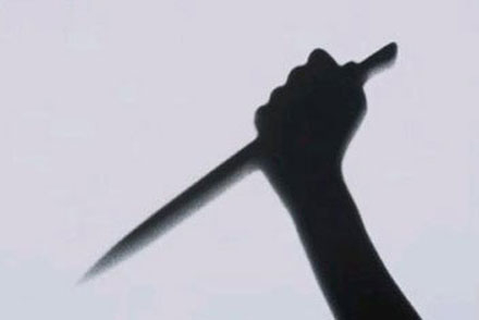 H&igrave;nh minh họa.