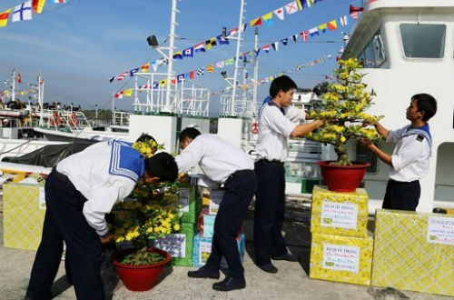 C&aacute;c chiến sĩ V&ugrave;ng 2 Hải qu&acirc;n chuyển c&aacute;c chậu mai v&agrave; qu&agrave; Tết mang&nbsp;ra nh&agrave; gi&agrave;n.