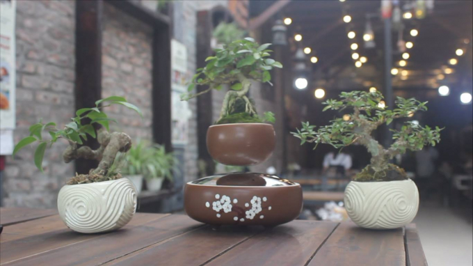 Những chậu bonsai bay lơ lửng tự xoay tr&ograve;n.