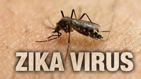 Đồng Nai c&ocirc;ng bố dịch Zika tr&ecirc;n quy m&ocirc; cấp x&atilde;. Ảnh: minh họa