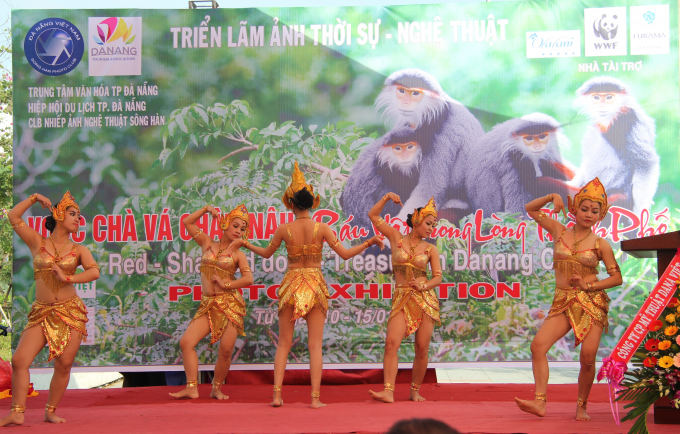 Đ&agrave; Nẵng: Triển l&atilde;m ảnh &ldquo;Nữ ho&agrave;ng linh trưởng&rdquo; b&aacute;u vật trong l&ograve;ng th&agrave;nh phố