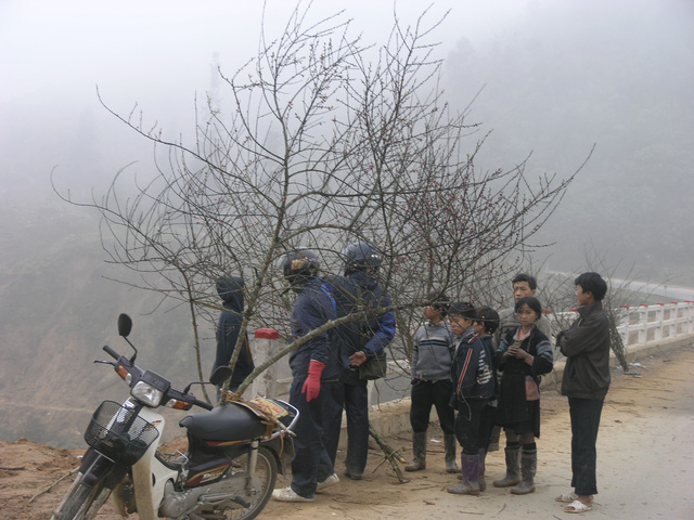 Chợ hoa đ&agrave;o Sa Pa trong gi&aacute; lạnh 10 độ C