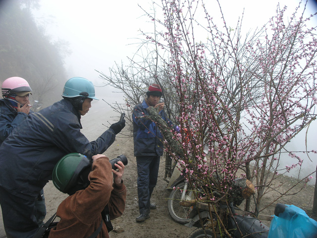 Bất chấp mưa r&eacute;t, gi&aacute; lạnh, chợ đ&agrave;o vẫn c&oacute; nhiều kh&aacute;ch gh&eacute; thăm.
