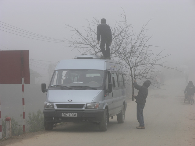 Đưa đ&agrave;o Sa Pa l&ecirc;n xe về xu&ocirc;i.