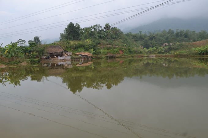 Trại c&aacute; của &ocirc;ng T&aacute;c l&agrave; trại c&aacute; quy m&ocirc; nhất x&atilde; T&acirc;n Bắc. (ảnh: Ph&agrave;n Gi&agrave;o Họ)