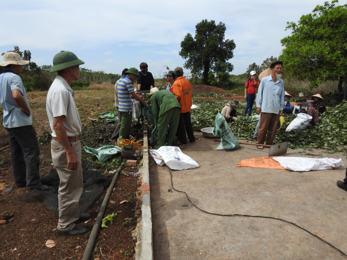 Người d&acirc;n Cư M'Nga rất bức x&uacute;c v&agrave; lo lắng cho vấn nạn trộm Ti&ecirc;u v&agrave; cắt d&acirc;y ti&ecirc;u.