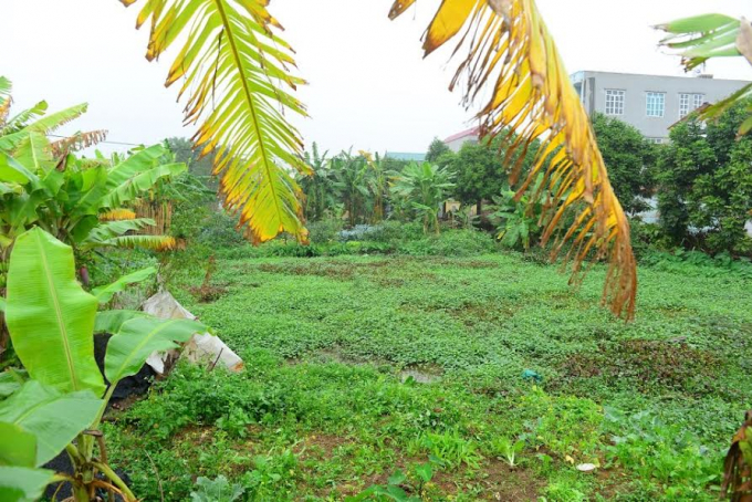 Phần diện t&iacute;ch 567m2 C&ocirc;ng ty Ho&agrave;ng Ph&uacute;c đ&atilde; chuyển tiền cho UBND thị trấn Lai C&aacute;ch.