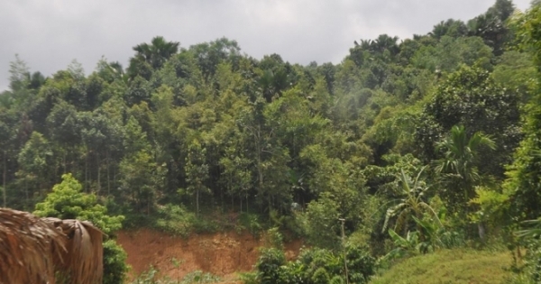 Hà Giang: Hai bố con sát hại chú ruột vì mê tín