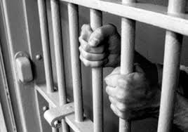 H&igrave;nh minh họa.