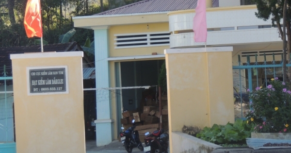 Kon Tum: Lực lượng kiểm lâm liên tục bắt giữ gỗ lậu