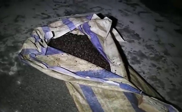 H&agrave;ng tấn &ocirc; mai bẩn ph&aacute;t hiện được cất giữ trong ng&ocirc;i biệt thự bỏ hoang. Ảnh: vtv.vn