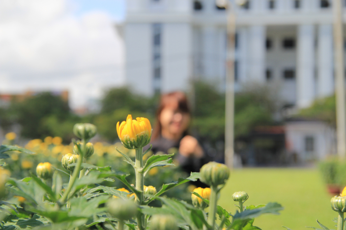 Do ảnh hưởng của thời tiết n&ecirc;n c&uacute;c năm nay nở chậm.