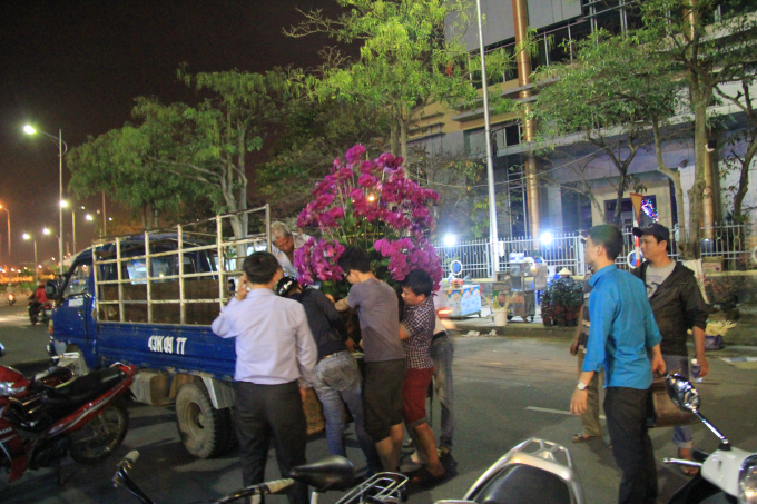 Chợ hoa tết Đ&agrave; Nẵng nhộn nhịp kẻ mua người b&aacute;n.