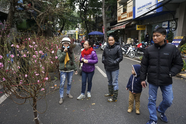 Chợ hoa H&agrave;ng Lược họp phi&ecirc;n duy nhất trong năm tr&ecirc;n c&aacute;c phố H&agrave;ng Lược, H&agrave;ng Chai, H&agrave;ng Rươi, k&eacute;o d&agrave;i tới cả phố H&agrave;ng M&atilde;, H&agrave;ng Đồng trong khu phố cổ H&agrave; Nội. Dịp Tết năm nay, chợ họp sớm, trước ng&agrave;y &ocirc;ng C&ocirc;ng &ocirc;ng T&aacute;o đ&atilde; xuất hiện c&aacute;c loại c&acirc;y, hoa cảnh như đ&agrave;o Nhật T&acirc;n, quất Tứ Li&ecirc;n...